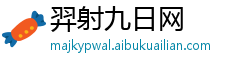 羿射九日网